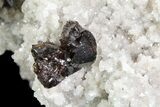 Sphalerite Cluster on Sparkling Dolomite - Elmwood Mine #71927-4